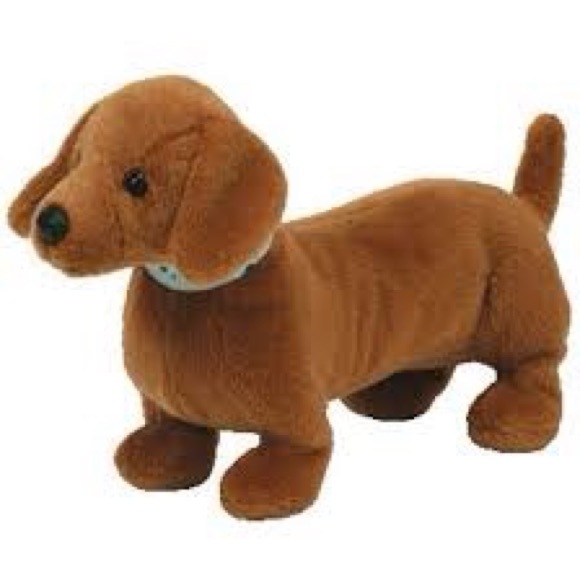 dachshund teddy